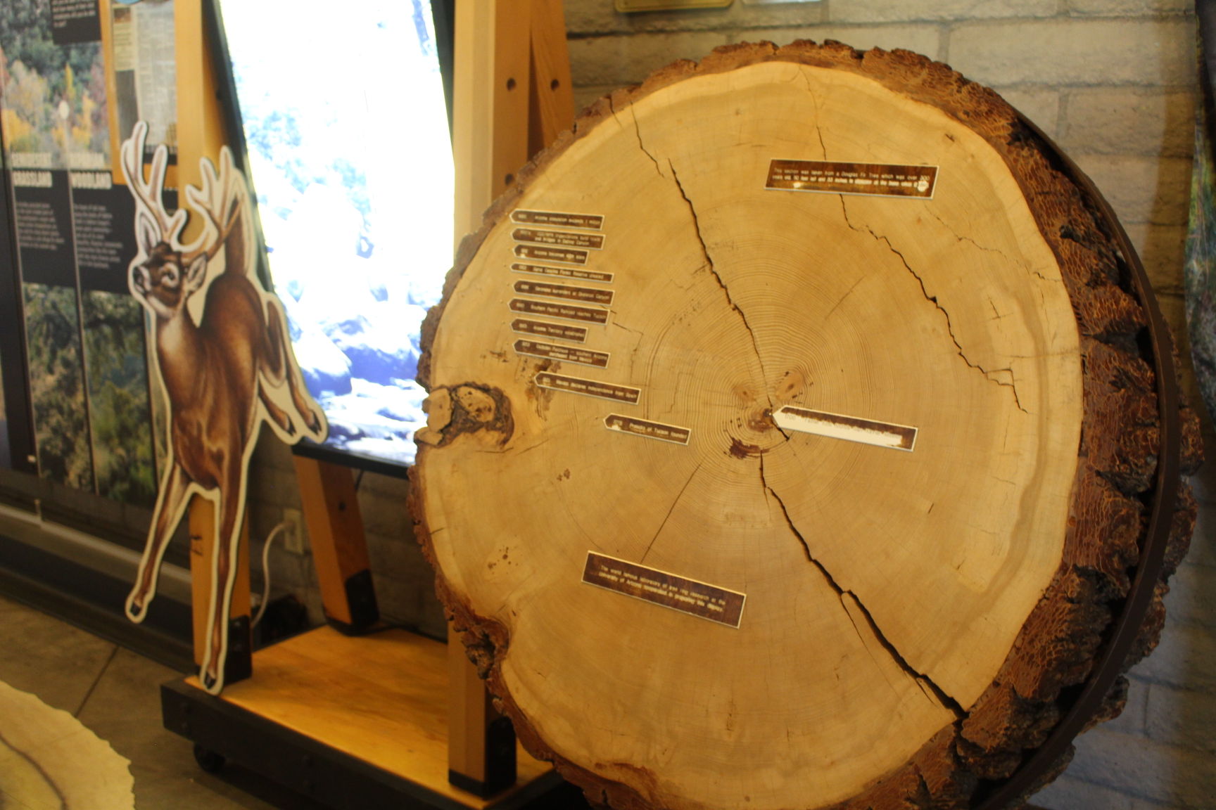 Spend time in the interpretative center